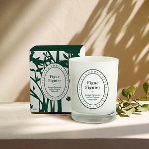 Bougie figue figuier