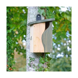 Nichoir avec cavité incurvée : mésanges,