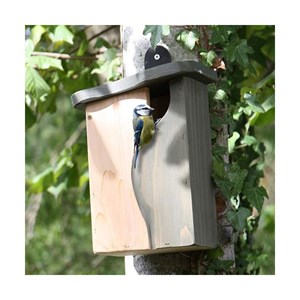 Nichoir avec cavité incurvée : mésanges,