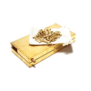 Bagh chal - jeux de société népalais