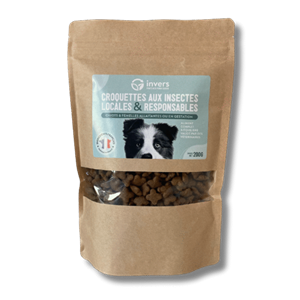 Echantillon chiot 200g