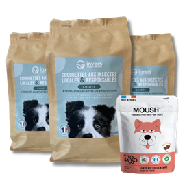 Croquettes chiot 7,5kg