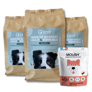 Croquettes chiot 7,5kg