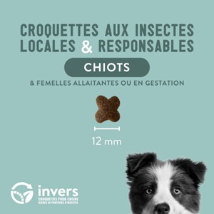Croquettes chiot 7,5kg