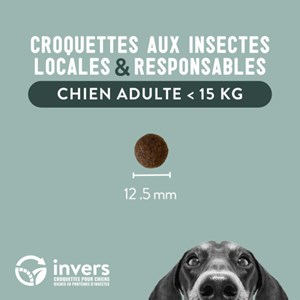 Echantillon petit chien 200g