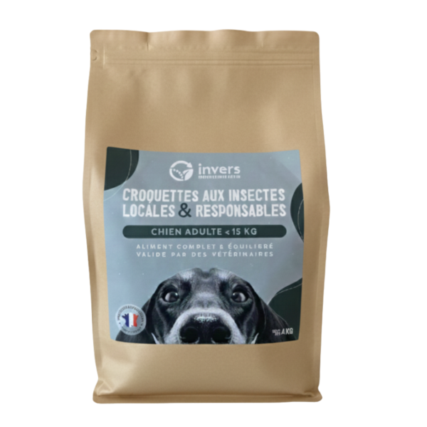 Croquettes petit chien adulte 4kg