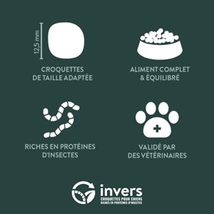 Croquettes petit chien adulte 4kg