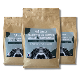 Croquettes petit chien adulte 12kg