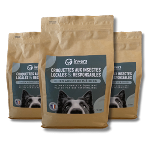 Croquettes chien moyen adulte 12kg