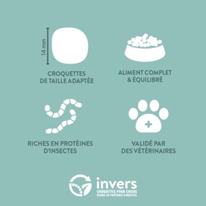 Croquettes chien moyen adulte 12kg