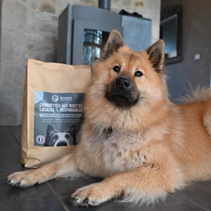 Croquettes chien moyen adulte 12kg