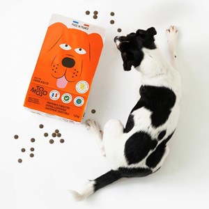 Tomojo kit d'essai chien adulte