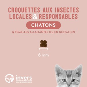 Echantillon chaton 200g