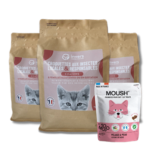 Croquettes chaton 4,5kg