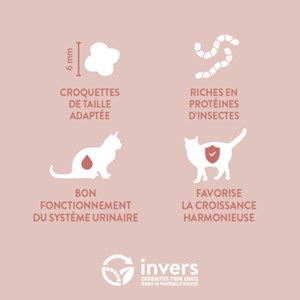 Croquettes chaton 4,5kg