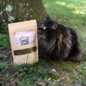Echantillon chat adulte stérilisé 200g