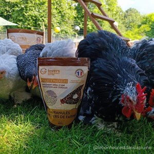 Granulés aux vers de farine 500g