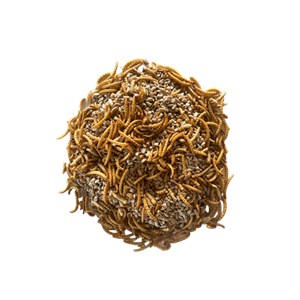 Mélange tournesol et vers 250g