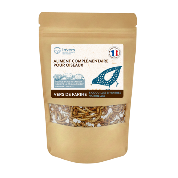 Mélange coquille huître et vers 400g