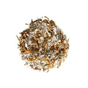 Mélange coquille huître et vers 400g