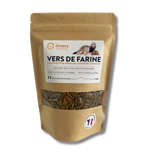 Vers de farine pour nac 100g