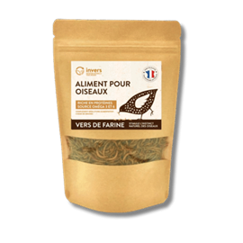 Vers de farine déshydratés 100g