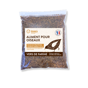 Vers de farine déshydratés 1 kg