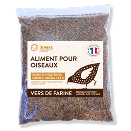 Vers de farine déshydratés 2,5 kg