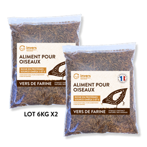 Vers de farine déshydratés 12 kg
