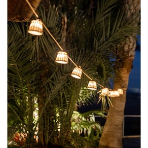 Guirlande lumineuse solaire nature aurora