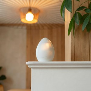 Kit laqi (6 ampoules) – éclairage circadien automatique + masque offert