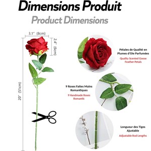 Coffret de 9 roses eternelles fishtec parfumées - cadeau pour femme et fete