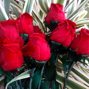 Coffret de 9 roses eternelles fishtec parfumées - cadeau pour femme et fete