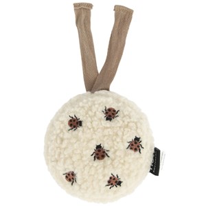 Bruit blanc nomade coccinelles