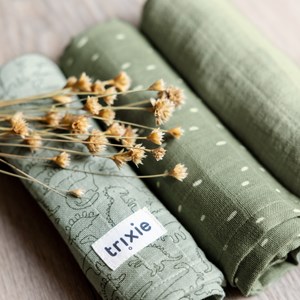 Lot de 3 langes en mousseline daring dino (55 x 55 cm)