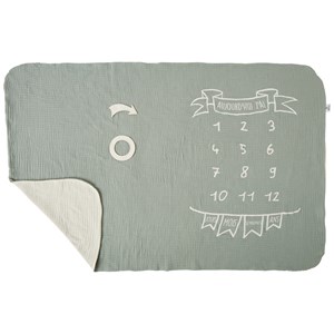 Couverture décor pour photos avec 2 accessoires rayé vert de gris