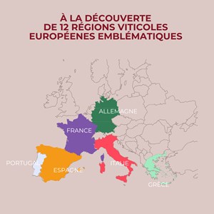 Coffret cadeau dégustation vins - découverte des grands vins européens