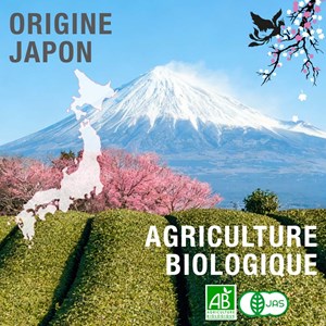 Matcha cérémonie bio - hinotori - 30g