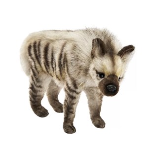 Hyene 16cmh-31cml - anima hansa