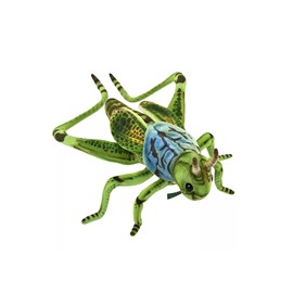 Sauterelle verte 35cml - anima hansa