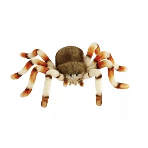 Araignee 24cml - anima hansa