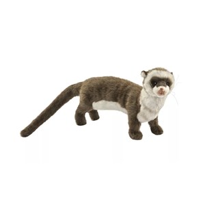 Furet 35cml - anima hansa