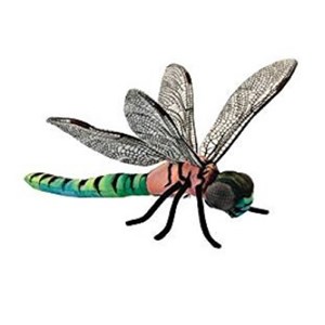 Libellule 34cm - anima hansa