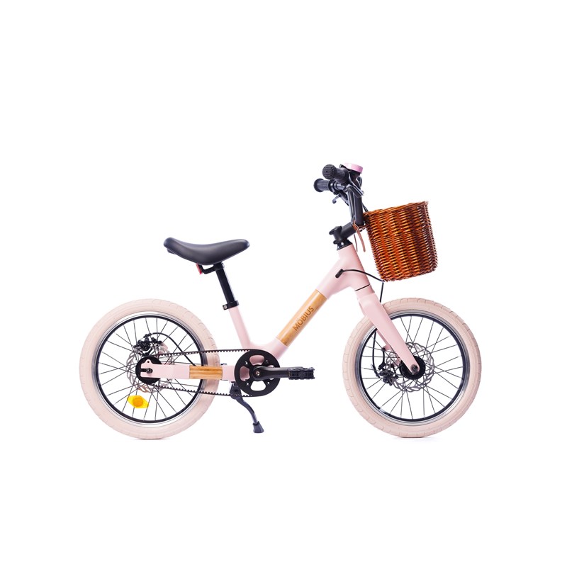 Möbius persévérance 16 pouces