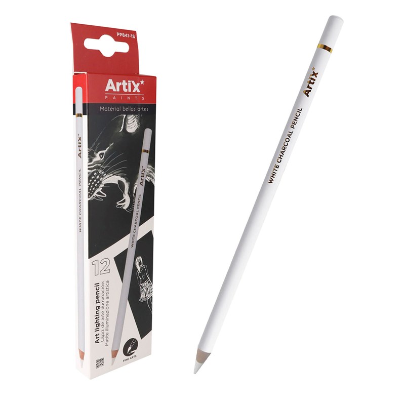 Dam - Pack 12 uds. Crayon charbon blanc