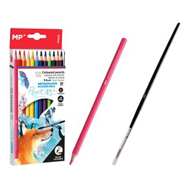 Crayons de couleur péréables 12 uds.