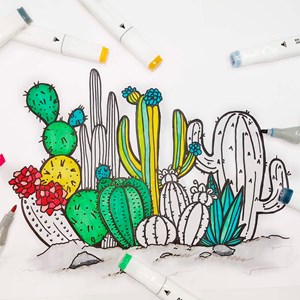 Ensemble de 80 marqueurs dans des couleurs variées. Double pointe.