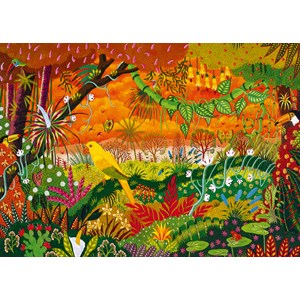 Puzzle conure dorée - 1000 pièces