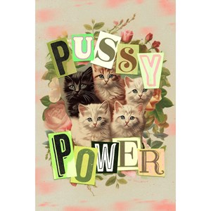Puzzle pussy power - 1000 pièces