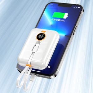 Powerbank 10.000mah avec charge rapide pd22,5w, câble usb-c.